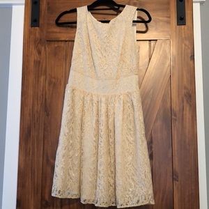 Loft lace dress